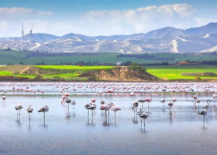 Dezo Luxury Town Ларнака